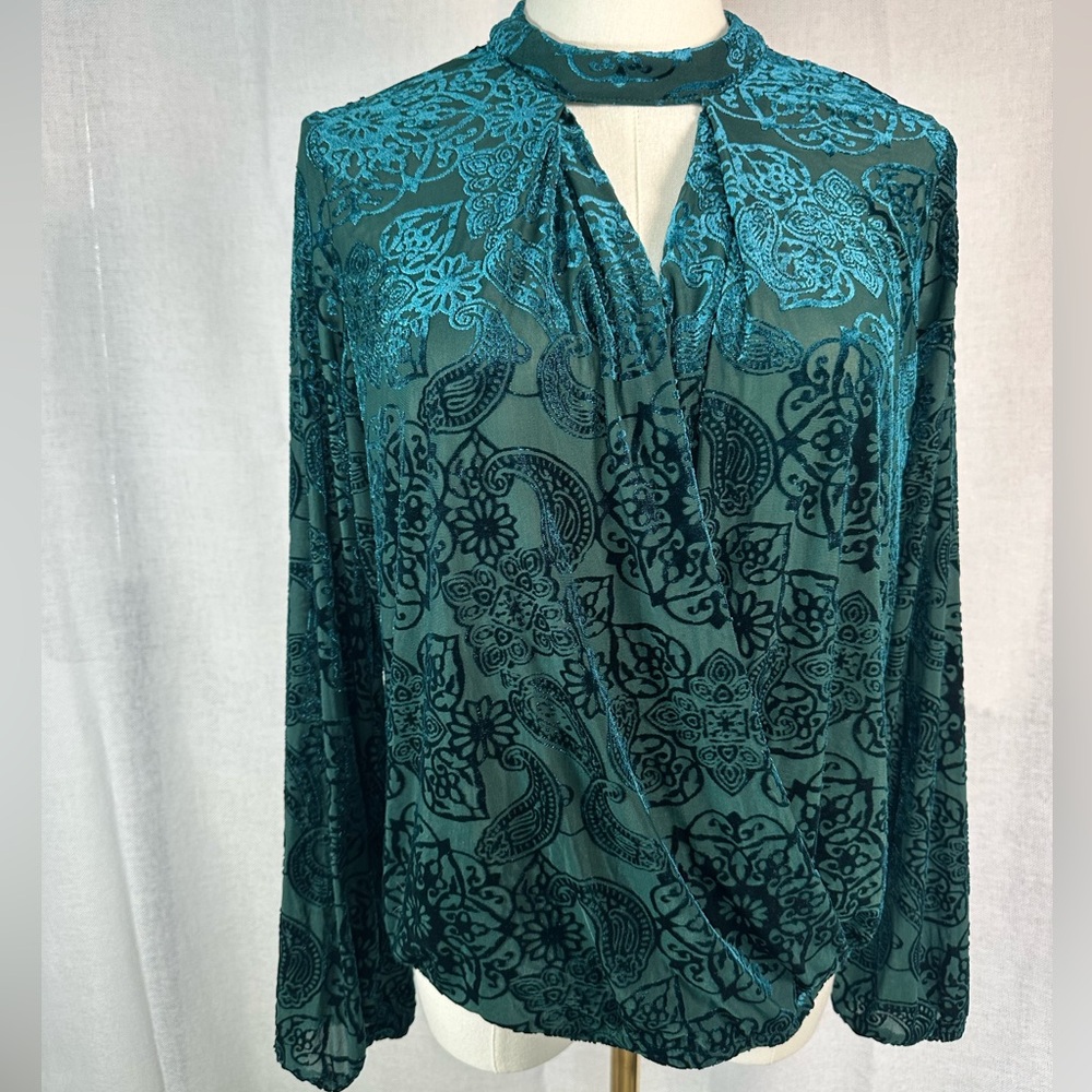 Finn & Grace Teal Velvet Mesh Long-Sleeve Blouse